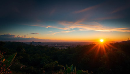 Bright jungle horizon at sunset glowingの素材