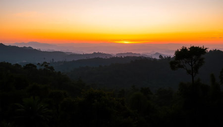 Tranquil jungle horizon glowing in twilightの素材
