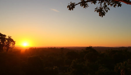 Scenic golden twilight horizon glowing softの素材