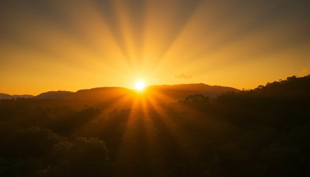 Radiant twilight sky glowing above jungle treesの素材