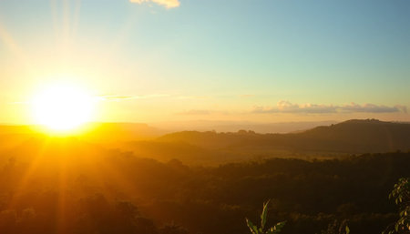 Bright golden horizon above jungleの素材