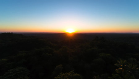 Radiant evening horizon above jungle skyの素材