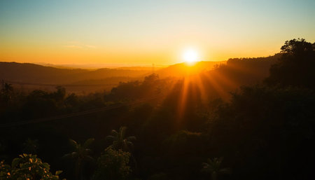 Golden jungle horizon glowing with sunsetの素材
