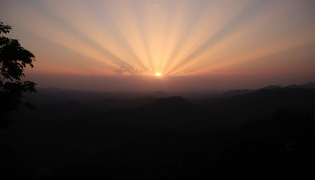 Radiant horizon above deep jungle skyの素材