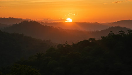 Golden light above jungle canopy hillsの素材