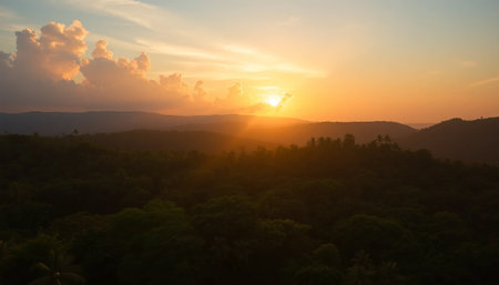 Majestic golden sky over dense jungleの素材