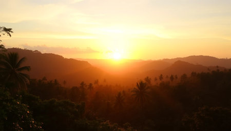 Serene jungle canopy hills under golden sunsetの素材
