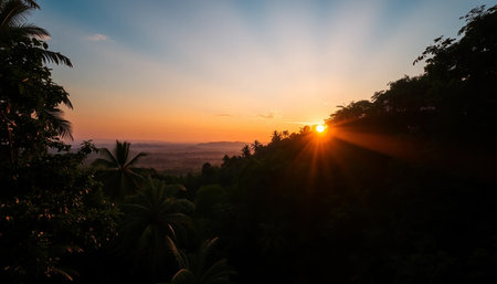 Calm twilight rays on jungle tree canopy glowingの素材