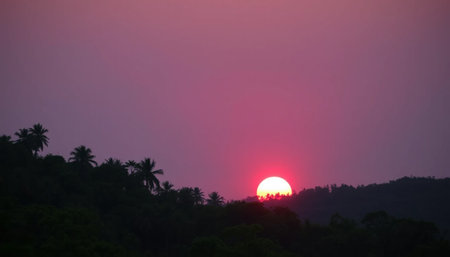 Orange horizon over jungle sunset glowの素材