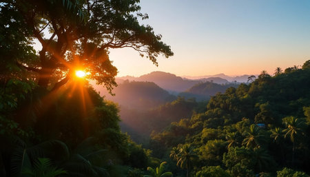 Peaceful jungle under sunset lightの素材