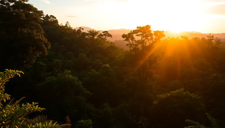 Soft golden light paints jungleの素材