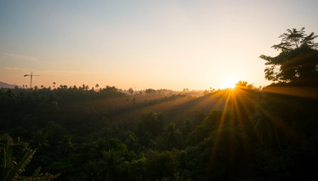 Twilight rays touch jungleの素材