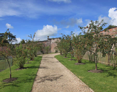 English Country Estate Apple Orchardの写真素材