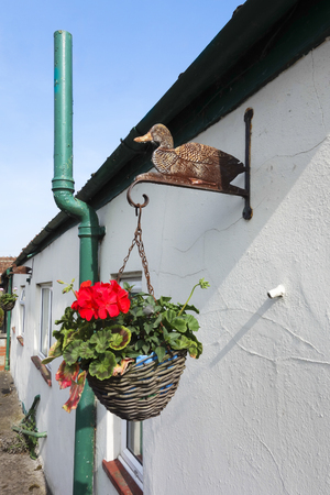 Hanging Flowers and Ducksの写真素材