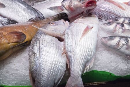 Fresh fish at a Spanish market