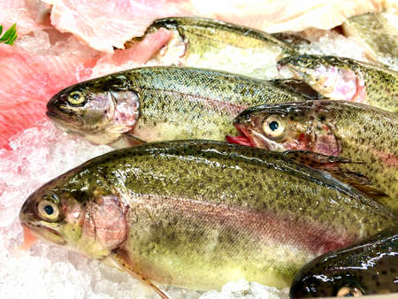 Freshly caught Rainbow Trout on ice at a fish marketの写真素材