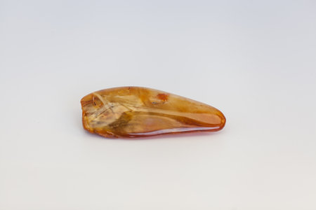 Polished nugget of Baltic amber found in KoÅobrzeg, Poland.の写真素材