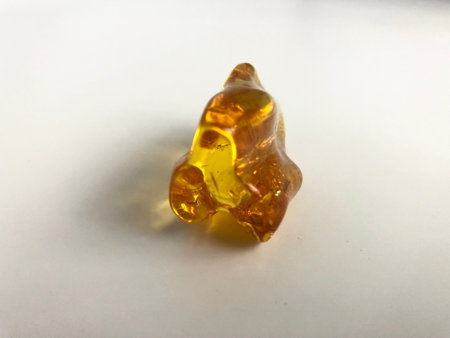 Polished nugget of Baltic amber found in KoÅ‚obrzeg, Poland.