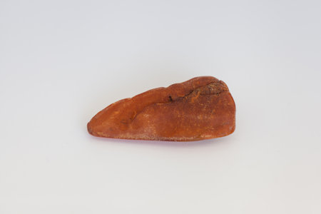 Polished nugget of Baltic amber found in KoÅ‚obrzeg, Poland.