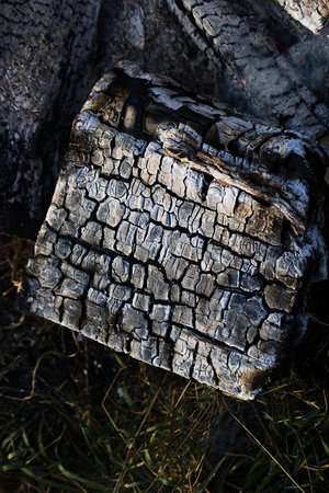Burnt wood texture. Burnt piece of wood in a bonfire.の写真素材