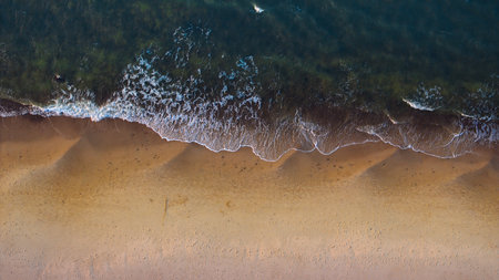 Golden hour aerial: Sandy beach, gently rolling waves.