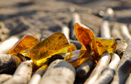 A few natural, polished Baltic ambers on a sandy beach in the rays of the setting sun. Kolobrzeg, Poland.の写真素材