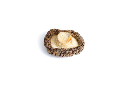 On a clean white backdrop, dried shiitake mushrooms are arranged to highlight their textured surfaces and rich natural colors, offering an artistic view of this gourmet ingredient.の写真素材