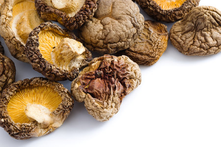 This image features carefully arranged dried shiitake mushrooms on a white background, showing their unique textures and deep, savory colors that blend rustic charm with natural elegance.の写真素材