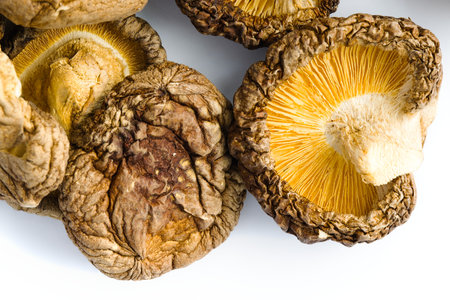 This image showcases dried shiitake mushrooms artfully arranged on a white background, revealing their textured surfaces and deep organic hues that evoke traditional culinary craftsmanship.の写真素材