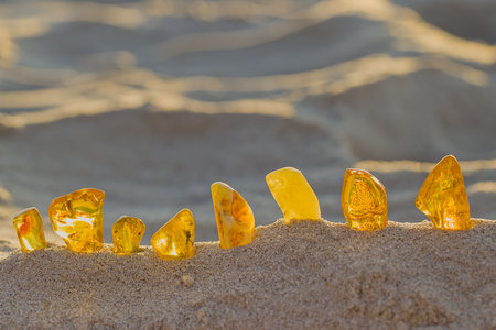 Amber pieces scattered on beach sand in KoÅobrzeg capture golden hour glow, showcasing natural colors and textures in summer calm.の写真素材