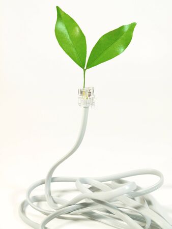 Telephone cable with leaf on plugの写真素材
