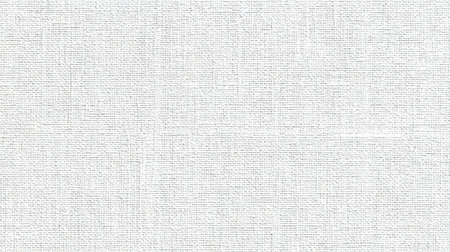 A versatile and clean white textured background featuring a subtle linen pattern, perfect for design projects, presentations, and visual displays.の素材