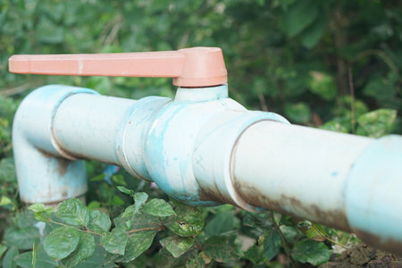A close-up view of a vintage water pipe with a red handle, set against a backdrop of lush green plants, highlighting essential plumbing details and natural surroundings.の素材