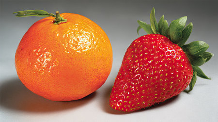 A fresh orange alongside a ripe strawberry showcases vibrant colors and textures. Perfect for use in food-related projects, healthy eating themes, or seasonal promotions.の素材