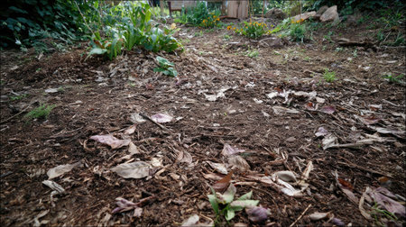 A serene view of natural ground cover featuring fallen leaves and rich soil in a lush garden environment, ideal for depicting nature and gardening.の素材