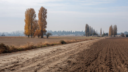 A tranquil rural landscape featuring beautiful autumn trees and freshly plowed fields beneath a cloudy sky, ideal for showcasing nature's beauty.の素材