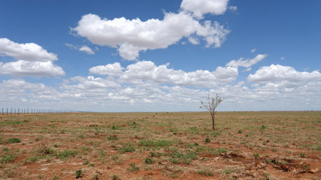 A serene open landscape featuring a lone tree amidst dry earth and vibrant clouds, capturing the essence of nature's beauty and vastness.の素材