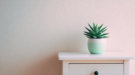 A beautifully arranged succulent plant in a pastel pot sits on a white table, enhancing the serene atmosphere of a minimalistic interior space.の素材