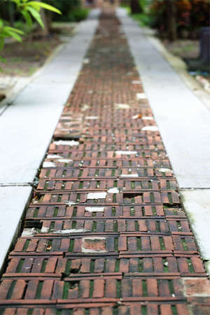 A boardwalk stretching in front of the viewerの写真素材