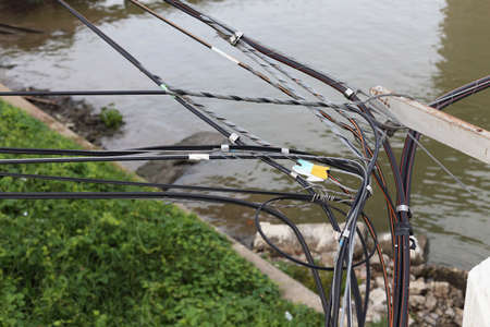 High voltage power lines overgrownの写真素材