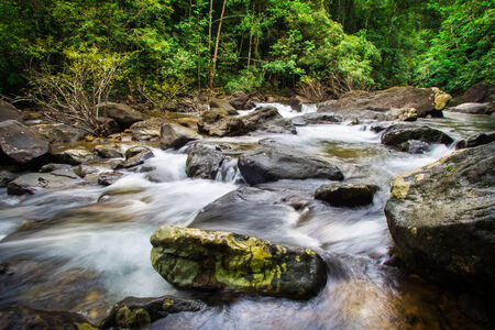 Nature of waterfall in the forestの写真素材