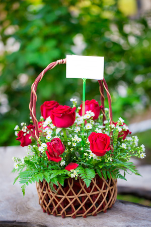 Colorful decorative roses With label for text inputの写真素材