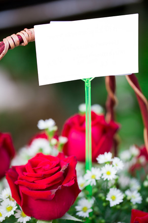 Colorful decorative roses With label for text inputの写真素材