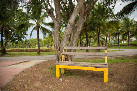 Wooden chairs in the gardenの写真素材