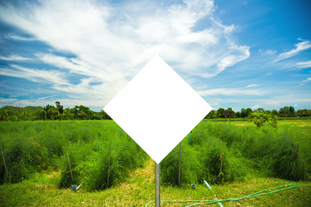 Blank sign Against green field and blue skyの写真素材