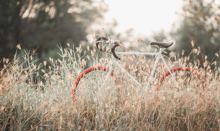 Beautiful landscape image with Bicycle at sunsetの写真素材