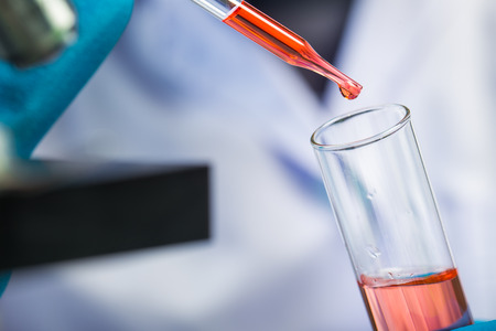 Hands of clinician holding tools during scientific experiment in laboratoryの写真素材