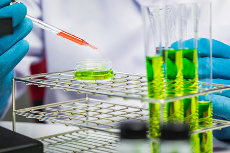 Hands of clinician holding tools during scientific experiment in laboratoryの写真素材