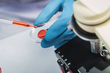 Hands of clinician holding tools during scientific experiment in laboratory