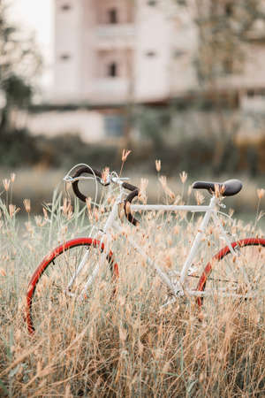 Beautiful landscape image with Bicycle at sunset